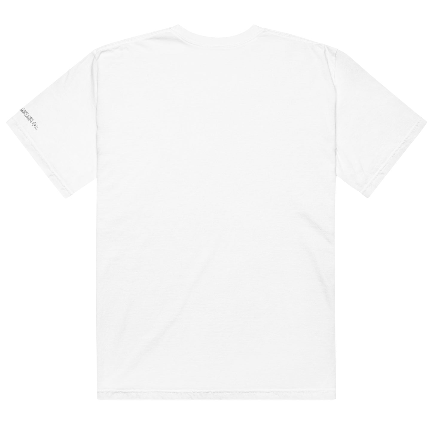 CKco - "BD Energy" Unisex garment-dyed heavyweight t-shirt