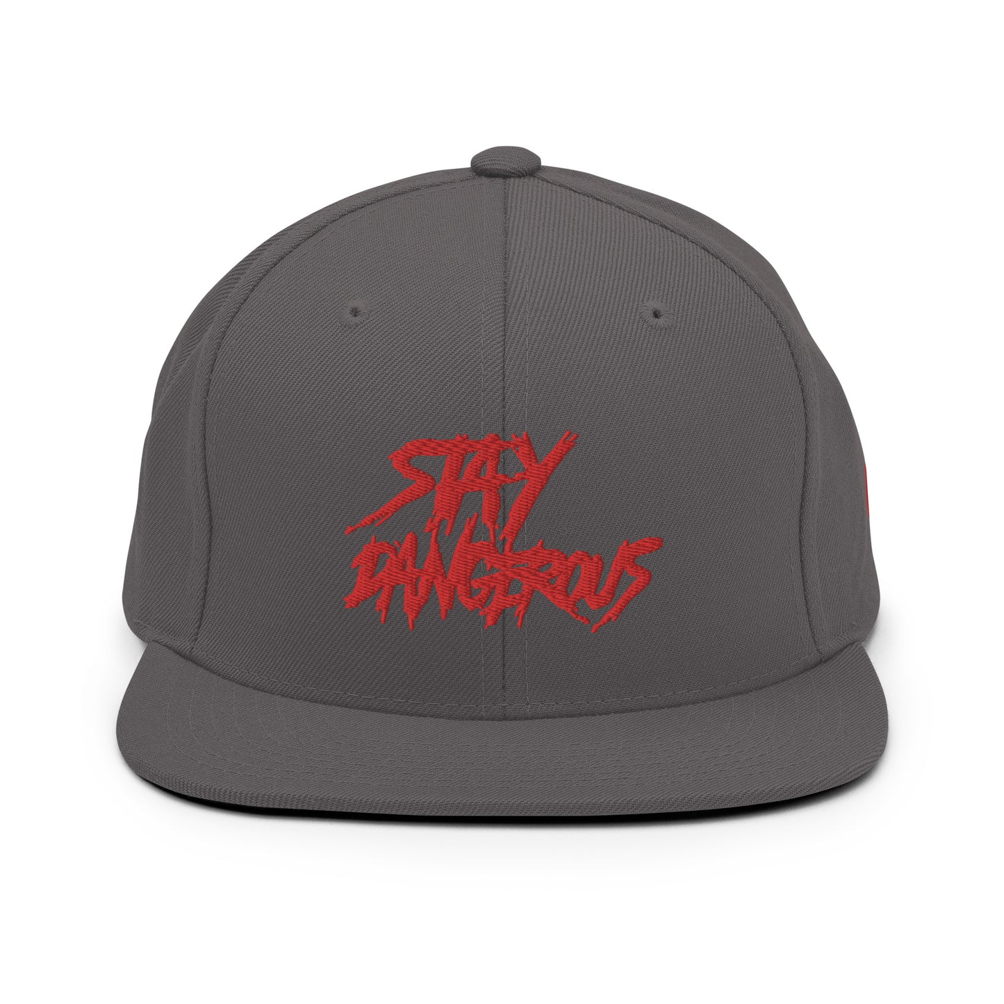 Stay Dangerous Snapback Hat