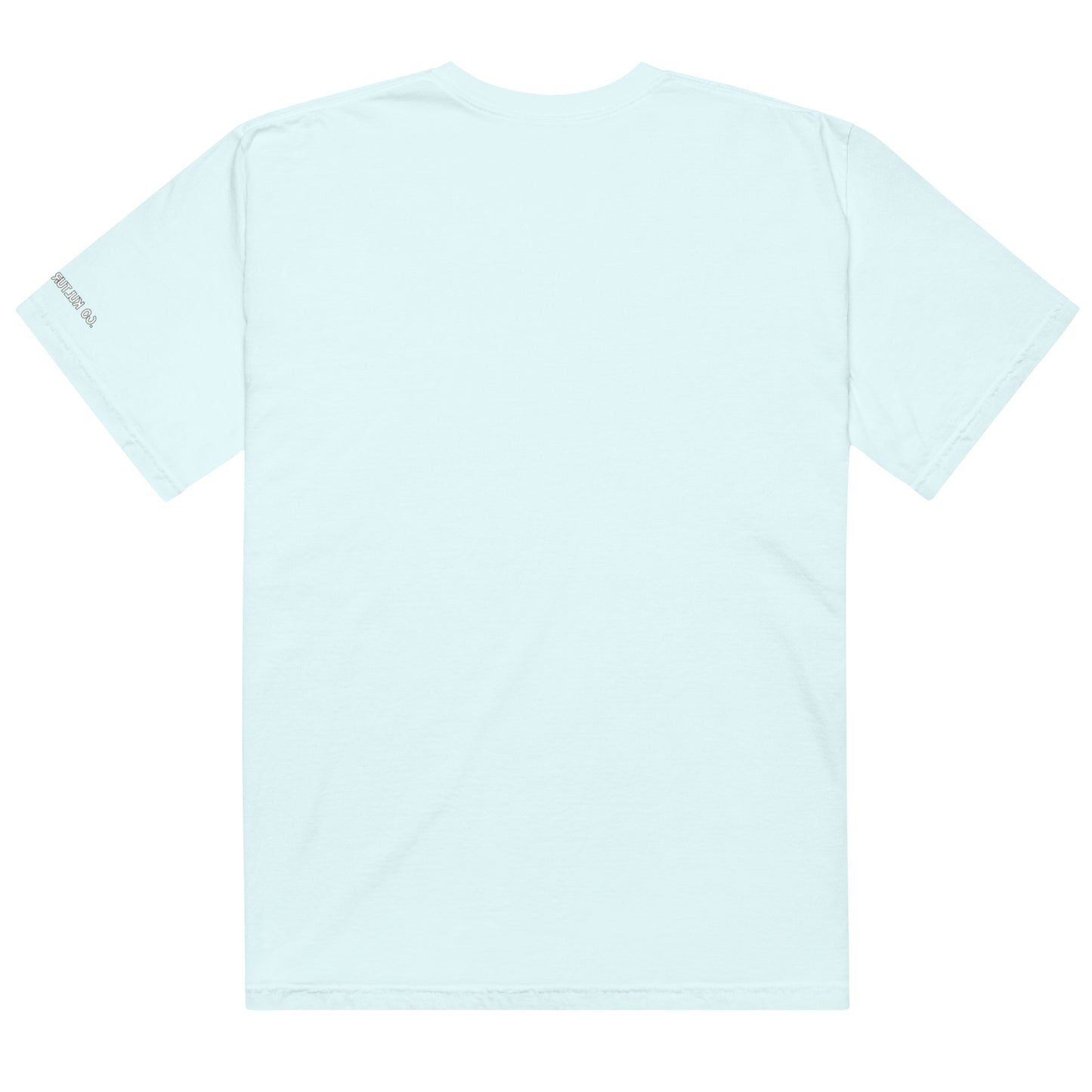 CKco - "BD Energy" Unisex garment-dyed heavyweight t-shirt